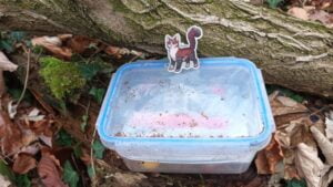 Die gefundene Cache-Box mit Fridolin The Cat